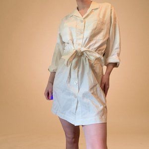 Zara button down dress